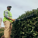 GREENWORKS Short Pole Hedge Trimmer - action