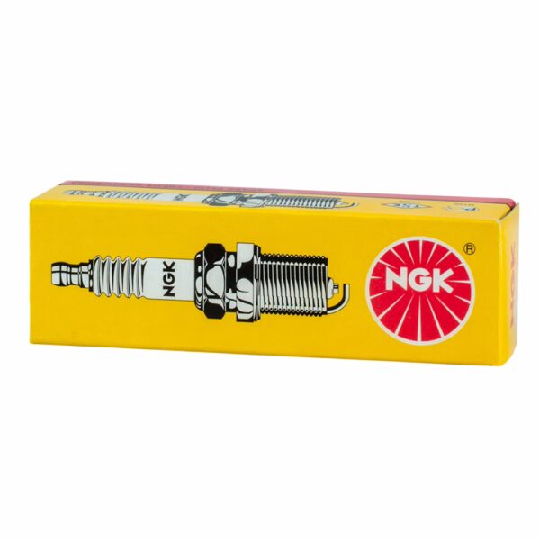 NGK Spark Plug