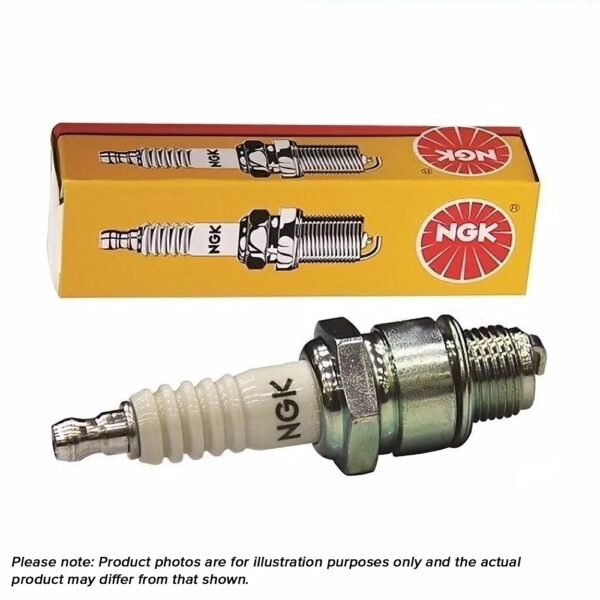 ngk spark plug with box